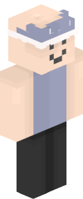 d1e125bd380a6a9c78372b44222e7ec925c84fc0641a25e7d0c27329f5fceb61 Minecraft skin