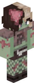 d241809028432a5c38ad33f6b672d8aafb1f584e1447d5c2fce41ff0d78615d1 Minecraft skin