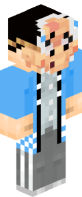 d3c11c455fe934c7c09aad59643e2f044bf67c21746758b29533fca01d07a81e Minecraft skin