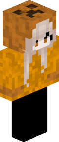 d3deab6fcf29f97795e4a8cc58dbf94af9393255dd4da4c9a163504cfd97380b Minecraft skin