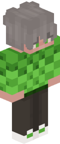 d434af981d20d584ea4ff4f0eef343d0e76396b5de1603ea1931df8751e1f749 Minecraft skin