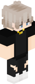 d454621848b47d9740b4a9e22d61616ba24d83b1297710cc19f9785463231c6d Minecraft skin