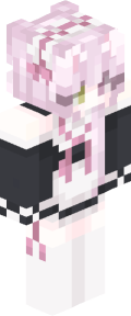 d4c93a1d54f07535b7e1641c227ca3bdc3d54937afb9f2d906e1f4630efacfea Minecraft skin