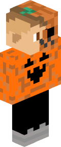 d6b17d2ef02d5b8c8a113a14da10afd276bac1691baf18215d556f08c8f9f147 Minecraft skin
