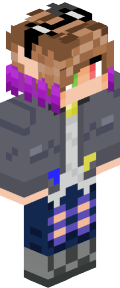 d8210c4a151bfbab2106e22bdd530656233adf08ac98a11744d55b10587ee66b Minecraft skin