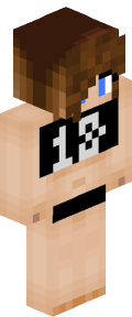 dd27b9a6d2d987d42b5a1ba6566535e3bc2be78c801e73897f3d8242282664a9 Minecraft skin