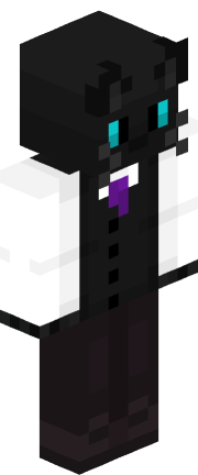 Player skin