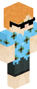 dfe9110e12d9ce0f1a59f81a18f1da36a39b812bfcc9d7b2cebec6f0bc91bcde Minecraft skin