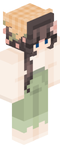 Minecraft Skin