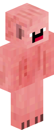 Player skin