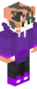 e6acf3868ad71850f0b195927f4ea6171838ad72e57284ade754e224d8bddf4e Minecraft skin