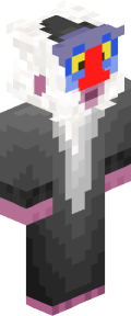 Minecraft Skin