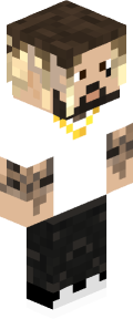 e880344873079e6deba0afdf6596db6282d785a1572ae4a5b276fa08c6ee544b Minecraft skin