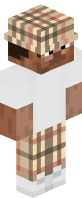 ea384a1da9ac3a9906ad9c156ffc3f706f181d6187f04091b2068c0b2bae282e Minecraft skin