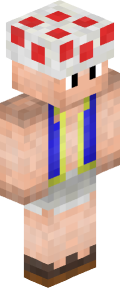 Tan Medieval Minecraft Skin