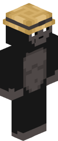 eb7b7c73e33e509786e2f5c7630bd97fb36059a8f39128c2fe62bec9650acce2 Minecraft skin