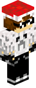 eccc31db4f18e349f5418d971d270aaf825b86de957104ddfc22285f8f2af0db Minecraft skin