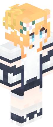 Player skin