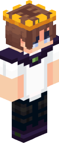ee23a5ac2d97ed853437a3b90c2e4e88eb287f60a794234483cb828f2d988068 Minecraft skin