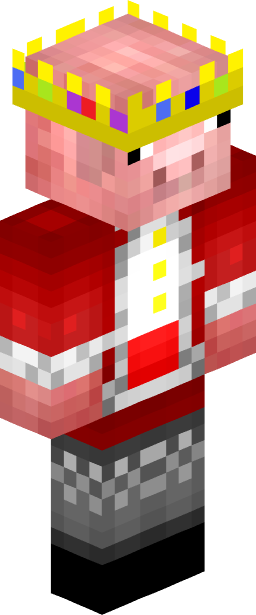 Tixlr_ Minecraft skin full body