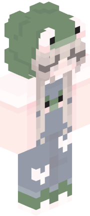 Minecraft Skin von empfi