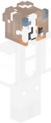 Skin Render