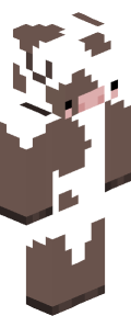 Minecraft Skin
