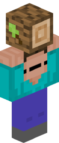 Minecraft Skin