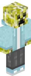 f1e90d8875e4a8dea5ee7feee8607c3265c0417e1bc0008157b6ec1a7e624f47 Minecraft skin