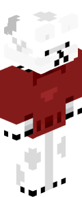 f23563e804d5e9396855afc282adfdcde43260aa8a30b8b37da9d9182c5f04bc Minecraft skin