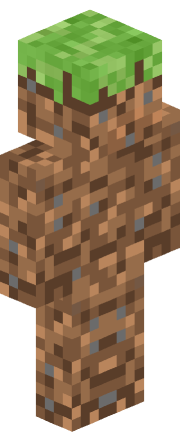 Player skin