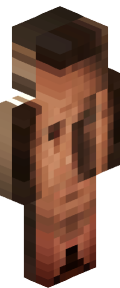 f377c1d1ce423d3cfa0ee5aa0d98744d47f2b0ceba59629b5a1ff47130ff35fb Minecraft skin