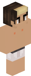 f66d49d48fdc40f804482c46209ce8c71c77666713c03750db4ee7f452940e29 Minecraft skin