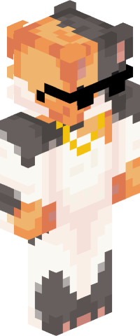 The_Calico_Cat's skin