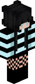 fe33c5a34d110e73264404293b916d063d355992b06ec13b78530d668d13c37a Minecraft skin