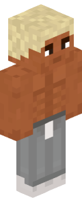 ffaa32bc82dd8c75b202b8e9783c59a2b7e173bfb01a1c63dcd9f4d70227f2b Minecraft skin