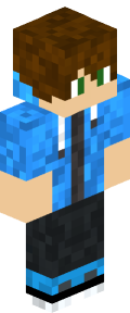 ffce1e0dbaaa58f408e8148578385fb9cb82529d5cec6210a8489ee8a8f65d0e Minecraft skin