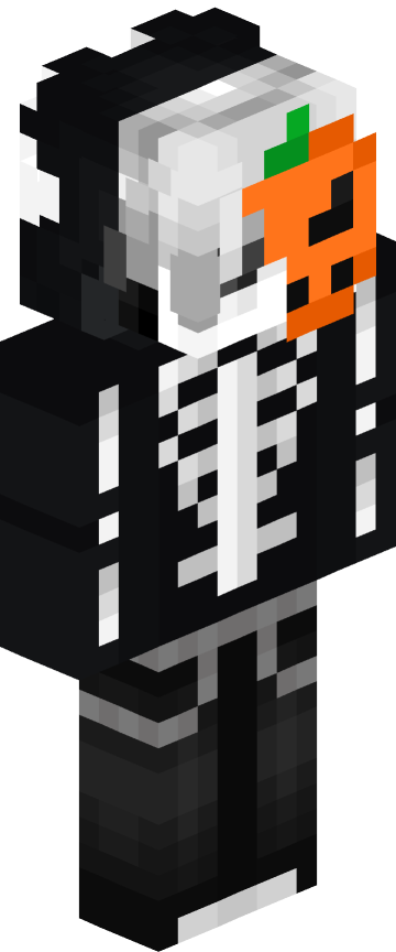 flowxr skin