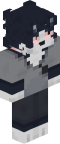 Skin gracza lobir