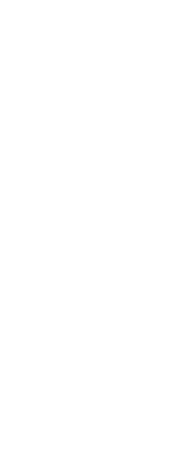 Skin Render