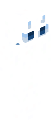 Skin Render