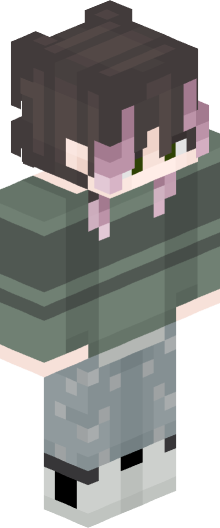 Minecraft skin of spooderdum