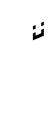 Skin Render