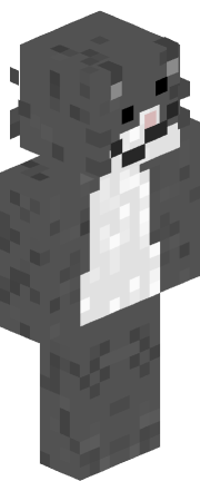 Skin Render
