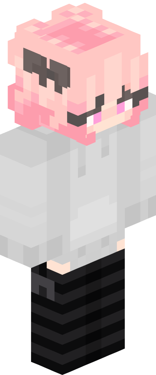 Minecraft skin render for tronche
