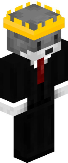 vipaaxx's Minecraft skin