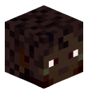 .reiciszm