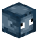 [Lvl 1] Squid