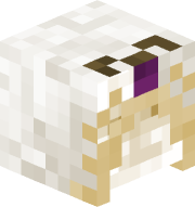 Velichko