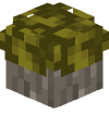 Голова Minecraft — Acacia Sapling